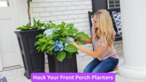 Dramatic Drapes That Define Elegant Patio Decorating Ideas